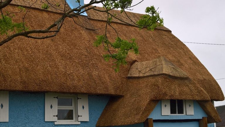 All about thatch and thatching on ThatchFinder