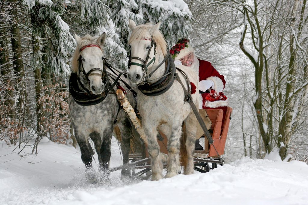 Merry Christmas from Thatch Finder. May you be well fed and happy for the Winter Season. Happy Christmas.