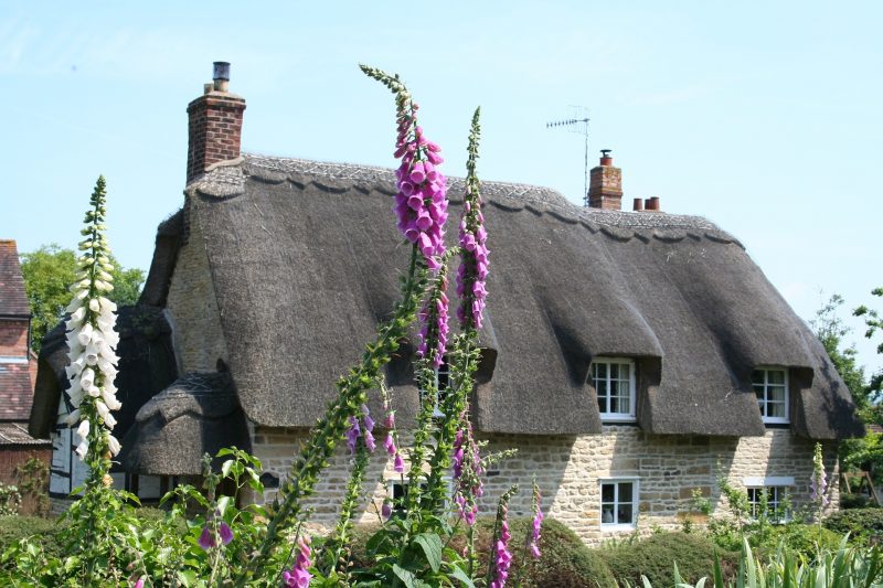 International Thatching Society